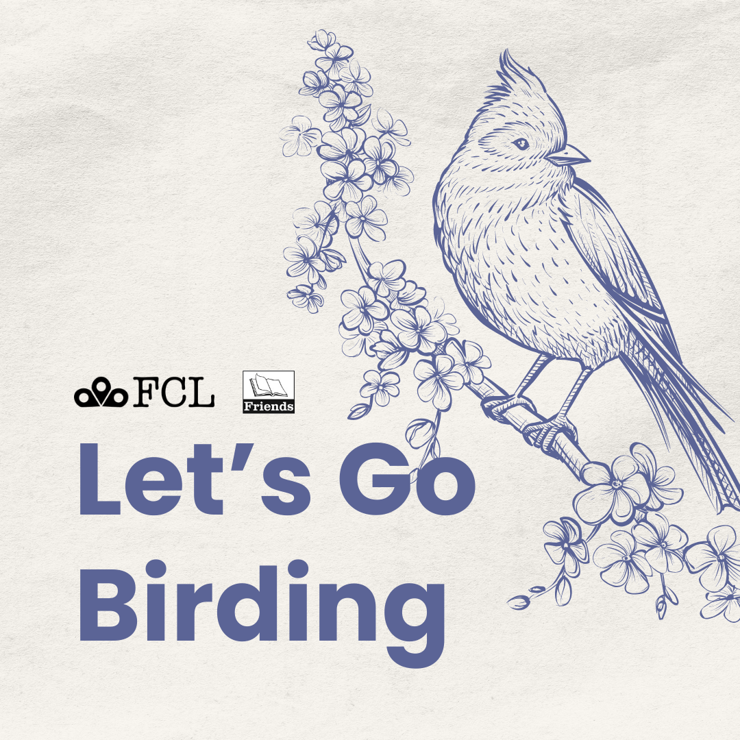 Let's Go Birding with Greg Bodker