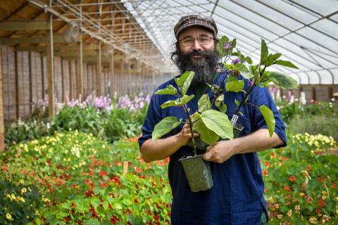 A photo of a man with a beard holding up a lush green plant in a pot