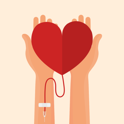 Hands holding up a heart,